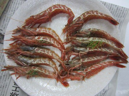 �K���G�r