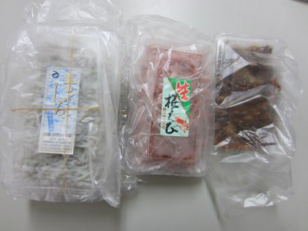 �V���X���T�N���G�r