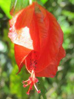 �E�i�Y�L�q���t���E