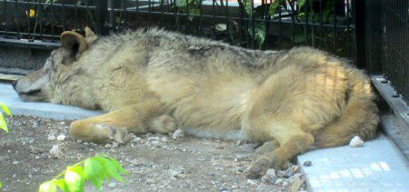 �V�x���A�I�I�J�~
