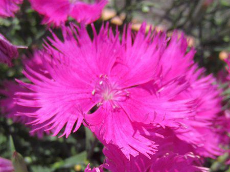 �i�f�V�R�����d�Z��