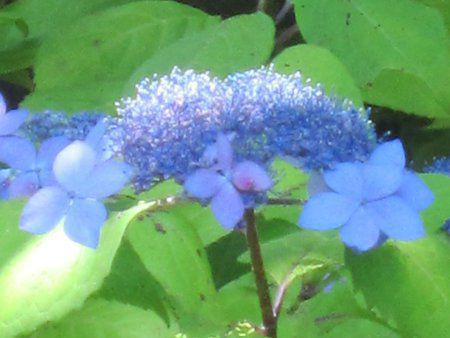 �y������