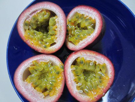 �p�b�V�����t���[�c(Passion fruit)