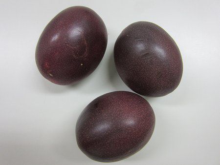 �p�b�V�����t���[�c�iPassion fruit�j