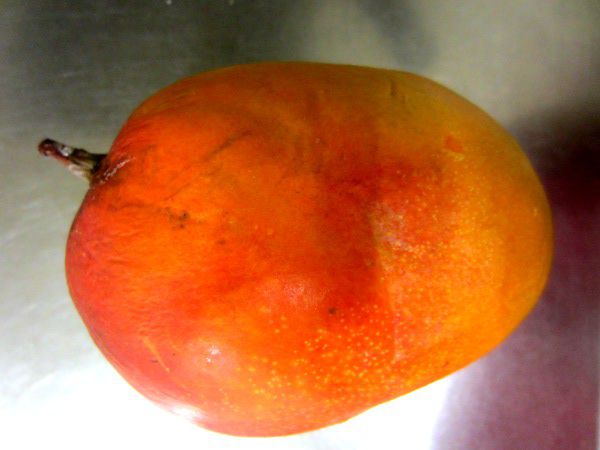 �}���S�[(Mango)