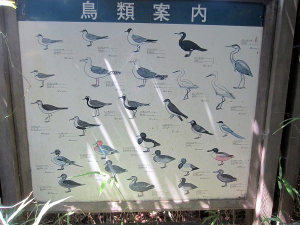 ���ވē��Ŕ�