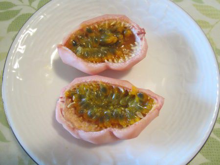 �p�b�V�����t���[�c