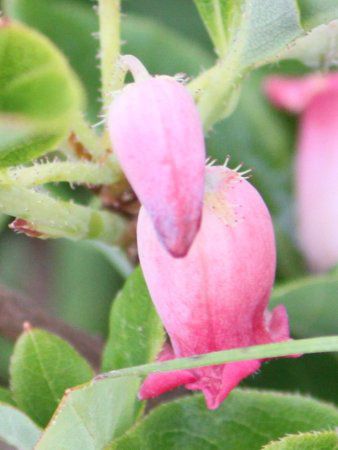 �E���W�����E���N