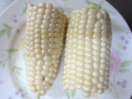 �g�E�����R�V