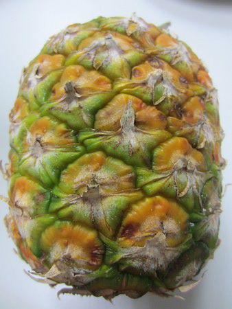 �p�C�i�b�v��(Pineapple)