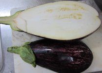 �C�^���A�֎q