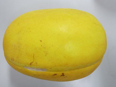 �}�N���E���E�z�[��
