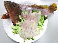 �L�W�n�^(賎q�H��)