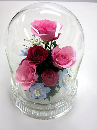 Reine De Fleur