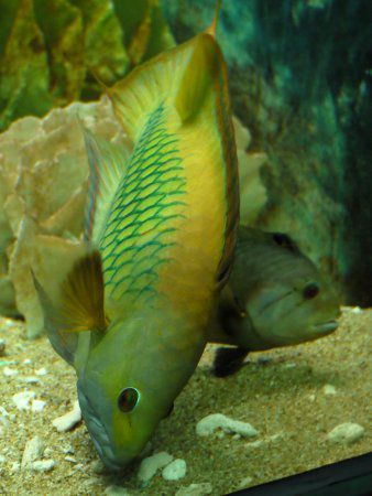 �M�`�x����