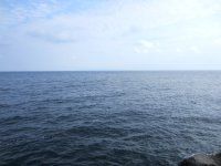 �C�A����