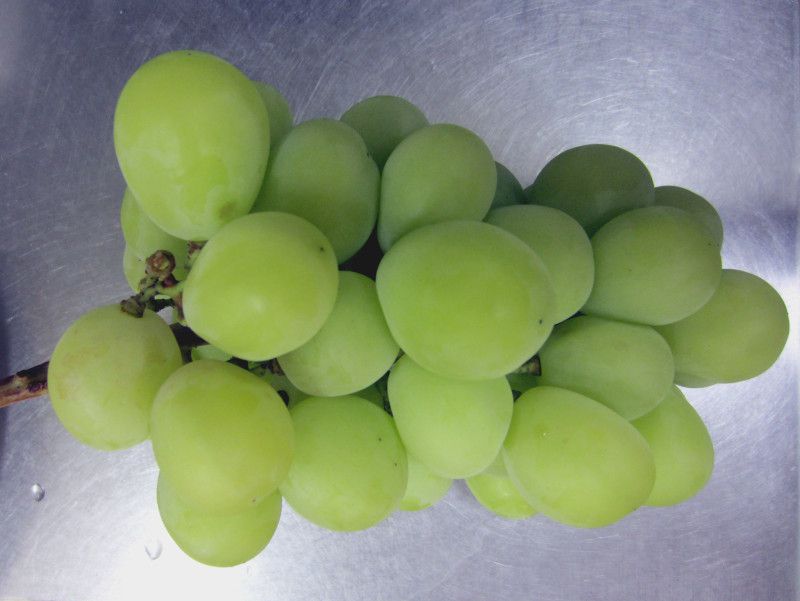 �V���C���E�}�X�J�b�g