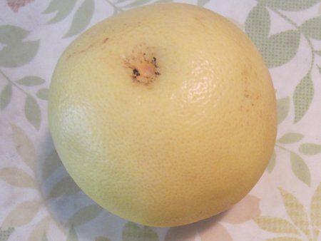 �O���[�v�t���[�c