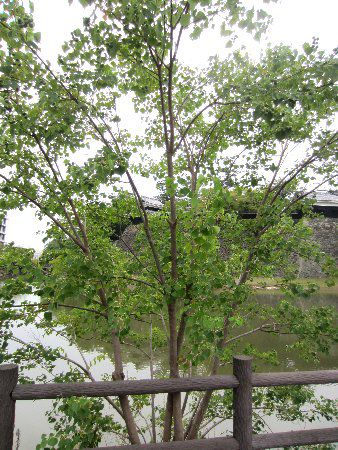 �i���W�������W����