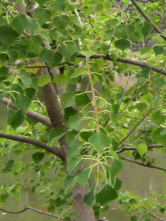 �i���W�������W���}