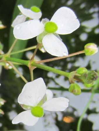 �I���_�J����
