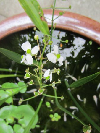 �I���_�J����