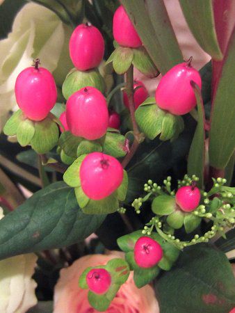 �q�y���J���E�A���h���T�G�}��