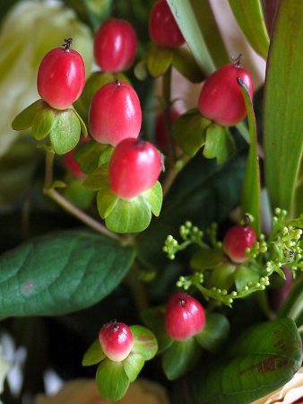 �q�y���J���E�A���h���T�G�}��