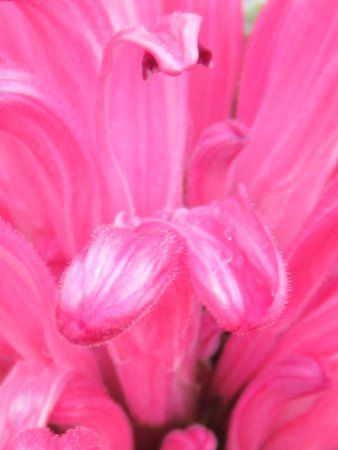 �T���S�o�i���F