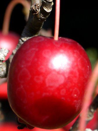 �q�������S