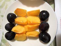�햳������ƃg�l�K�L�i�����`�j