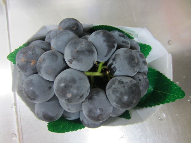 �햳������
