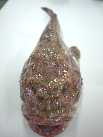 �K���R�����֔�1