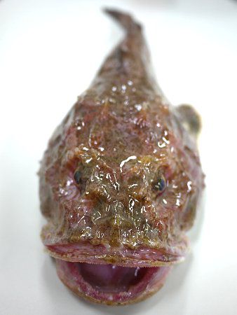 �K���R�����֔�2