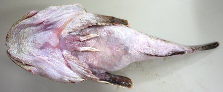 �K���R���S�g