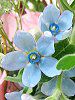 �I�L�V�y�^�����E�J�G�����E��