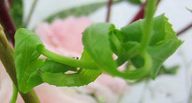 �E�������E���i�M(�_����)11