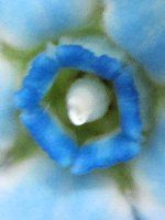 �I�L�V�y�^�����E�J�G�����E���ABlue star6