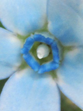 �I�L�V�y�^�����E�J�G�����E���ABlue star6