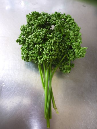 �p�Z���iparsley�j
