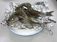 �C�T�L���Ă�2�C