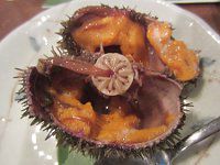 �G�]�o�t���E�j(�ڈΔn���C�_�E�C�I)