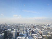 �D�y�s��20130124