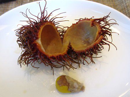 �����u�[�^��(Rambutan)