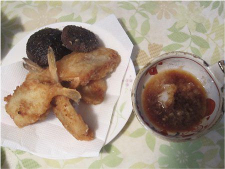 �V���T�o�t�O��g��+�卪���낵