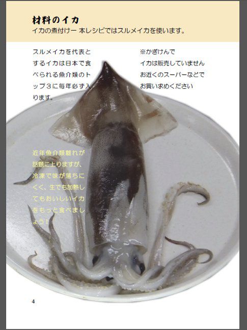�X�����C�Jp4