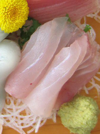 �L���g�L�_�C10