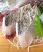 �t��^�`�E�I12