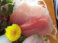 �u���h�g9