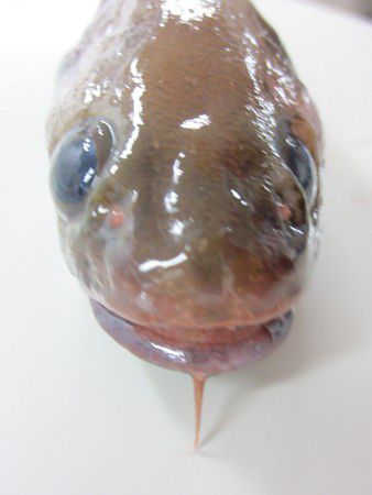 �h���R7